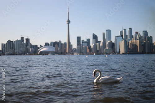 Wall Mural A view of Downtown from centre island in Toronto, Ontario, Canada on August 31, 2023