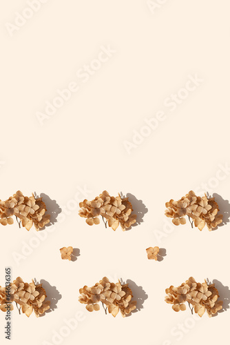 Dried hydrangea flower on a beige background with a long shadows. Autumn season minimal wallpaper concept. Copy space. Space for text