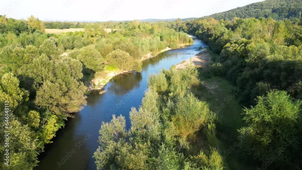 River with the forest River with the forest