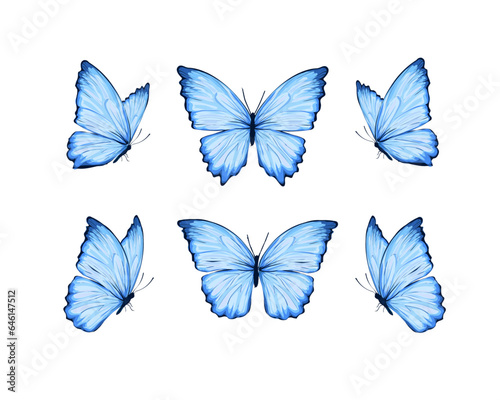 set of butterflies isolated © ulucsevda