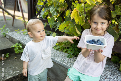 Close up of children with blueberries 