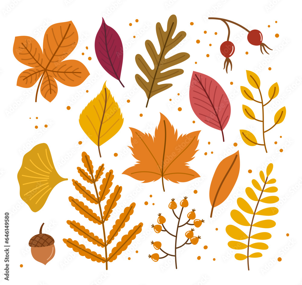 Autumn Leaves Set Captures Nature Transition With Warm Hues. A Symphony Of Red, Orange, And Yellow Leaves
