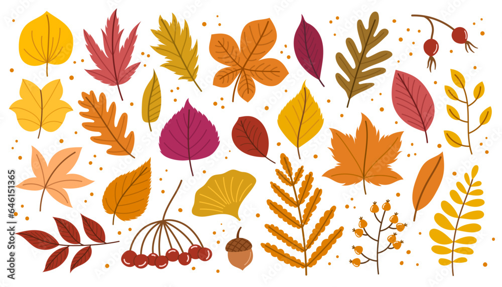 Fototapeta premium Autumn Leaves And Floral Elements Set Showcases Nature Brilliance With Warm-hued Foliage Cartoon Vector Illustration