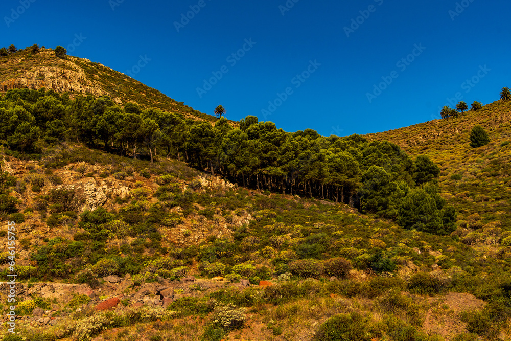 Paisaje en la Isla de la Gomera.