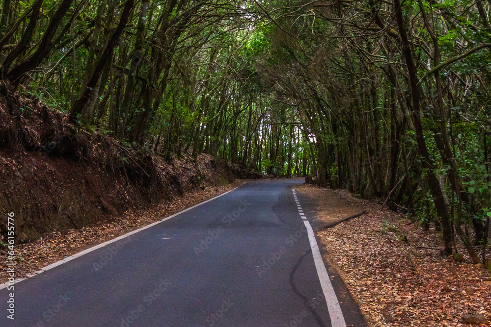 Fototapeta premium Carretera en la Isla de la Gomera.