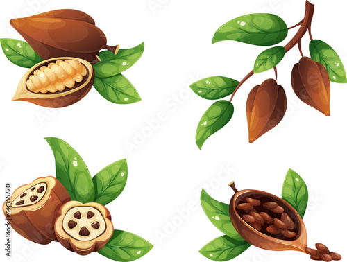 Cartoon cocoa beans. Ripe cacao pod with seed plant tree leaves, chocolate grain in leaf shell bean section farm harvest cocoas fruit for powder food, vector illustration
