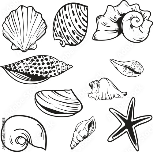 Set of sea shells, Seashell Cut File eps, eps for shirts, cups, stickers, vectors