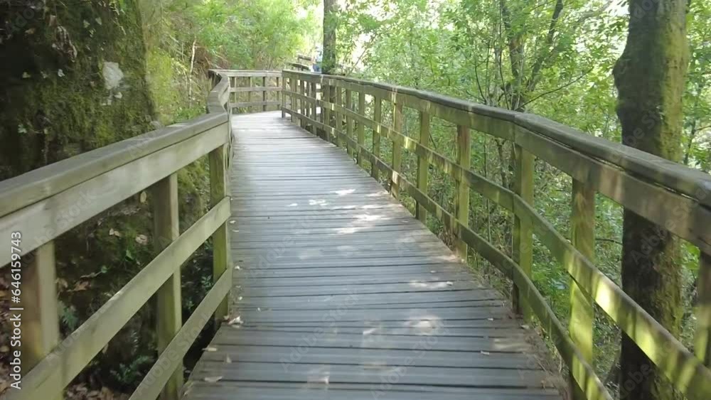 a trekking boardwalk route in a lush forest in river maon in the Ribeira Sacra Galicia, Spain a trekking boardwalk route in a lush forest in river maon in the Ribeira Sacra Galicia, Spain