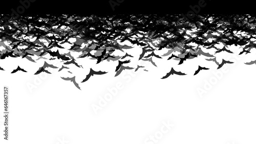 Fototapeta Naklejka Na Ścianę i Meble -  Seamless background of flying bats. Bottomless bats. Composition of bats flying without background. Illustration of bats without background. Resources for Halloween.
