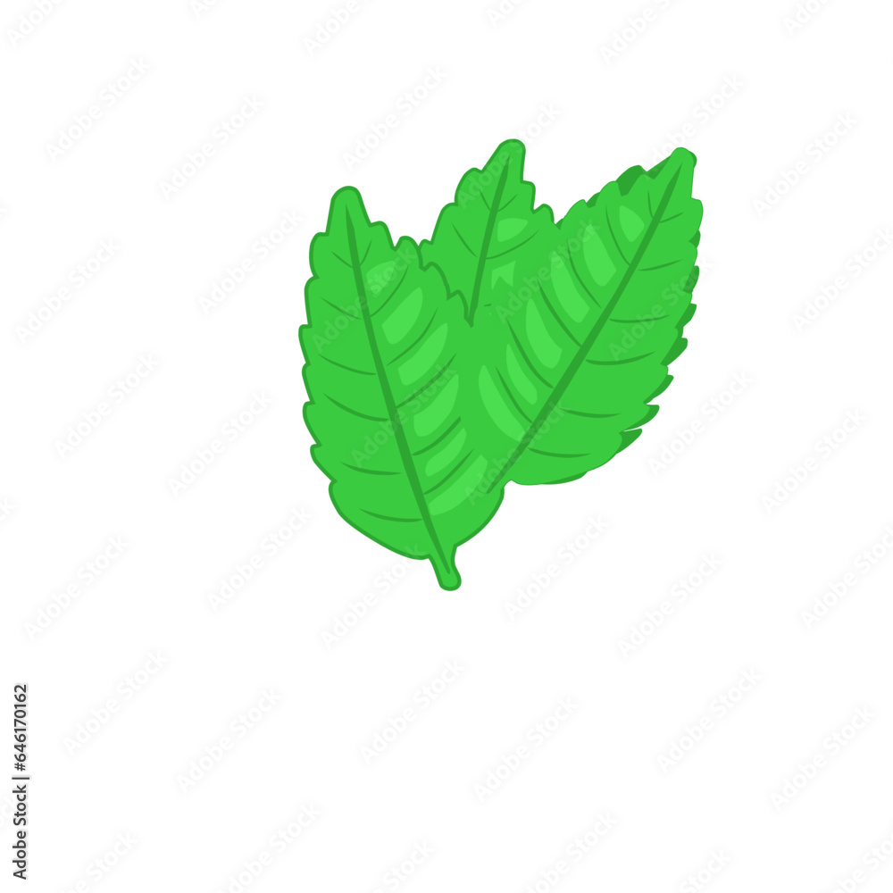 Obraz premium Green leaf 