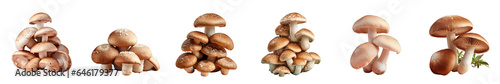 Png Set transparent background with shiitake mushrooms