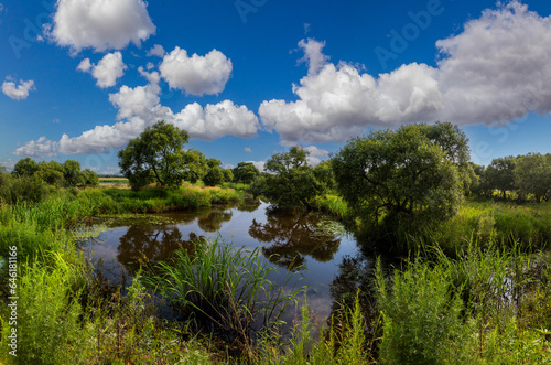 The ussuri river wetland landscape