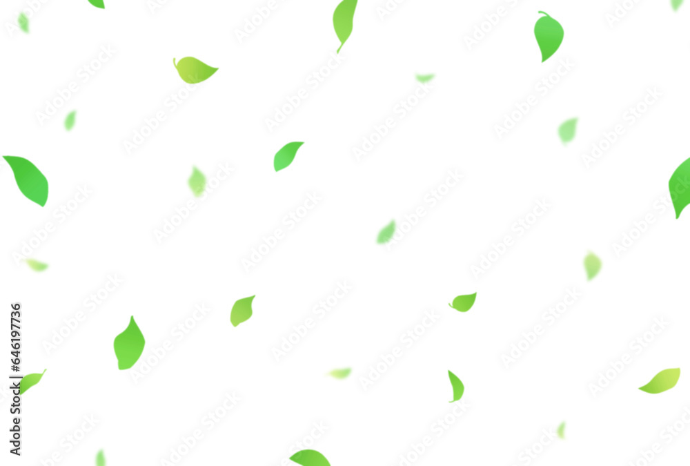背景素材_落ち葉_白背景 背景素材_落ち葉_白背景