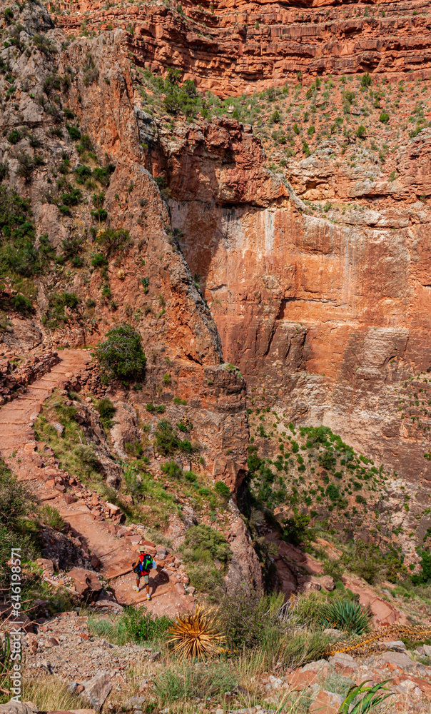 Male Hiker Climbing The Switchbacks on the Bright Angel Trail Below The Three Mile Rest house, Grand Canyon National Park, Arizona, USA