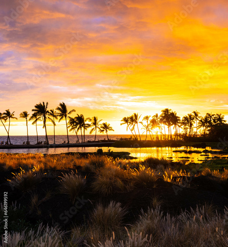 Coconut Palms at Sunset on Anchialine Pond and Anaeho'omalu Bay at The Waikoloa Beach, Waikoloa, Hawaii, USA