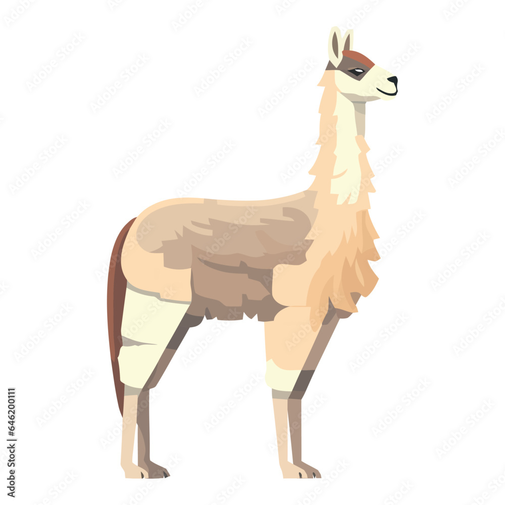 Fototapeta premium llama animal vector icon