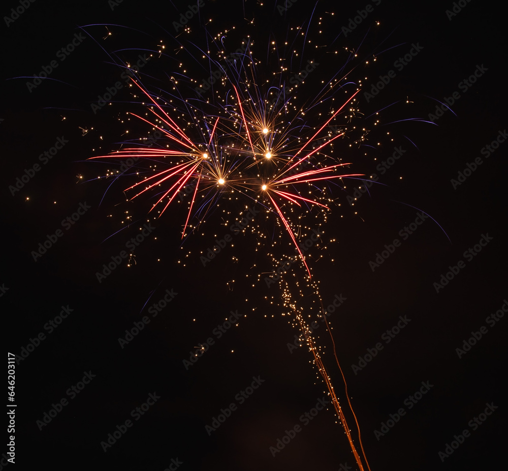 Obraz premium multiple pink and purple fireworks at night