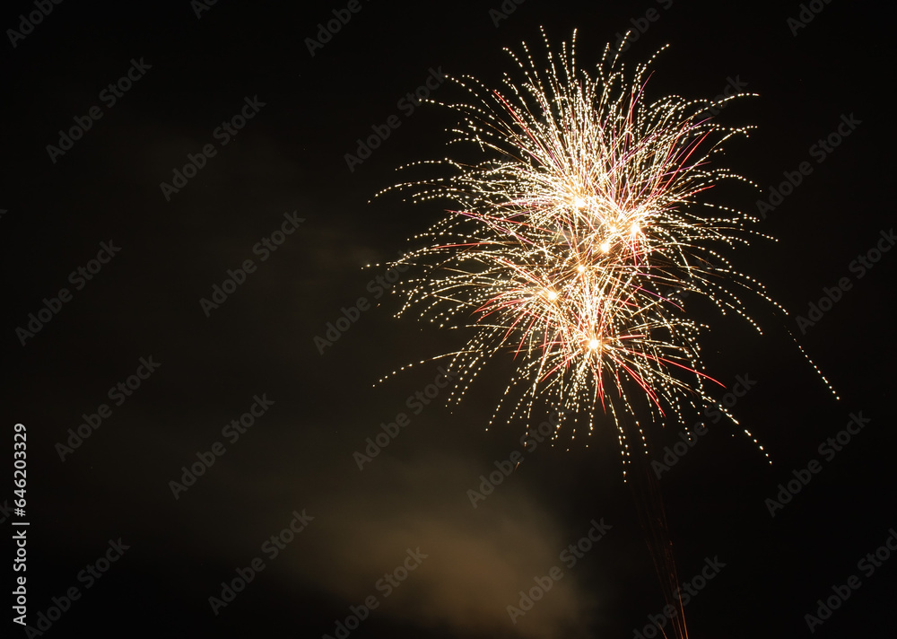 bright pink and white fireworks at night