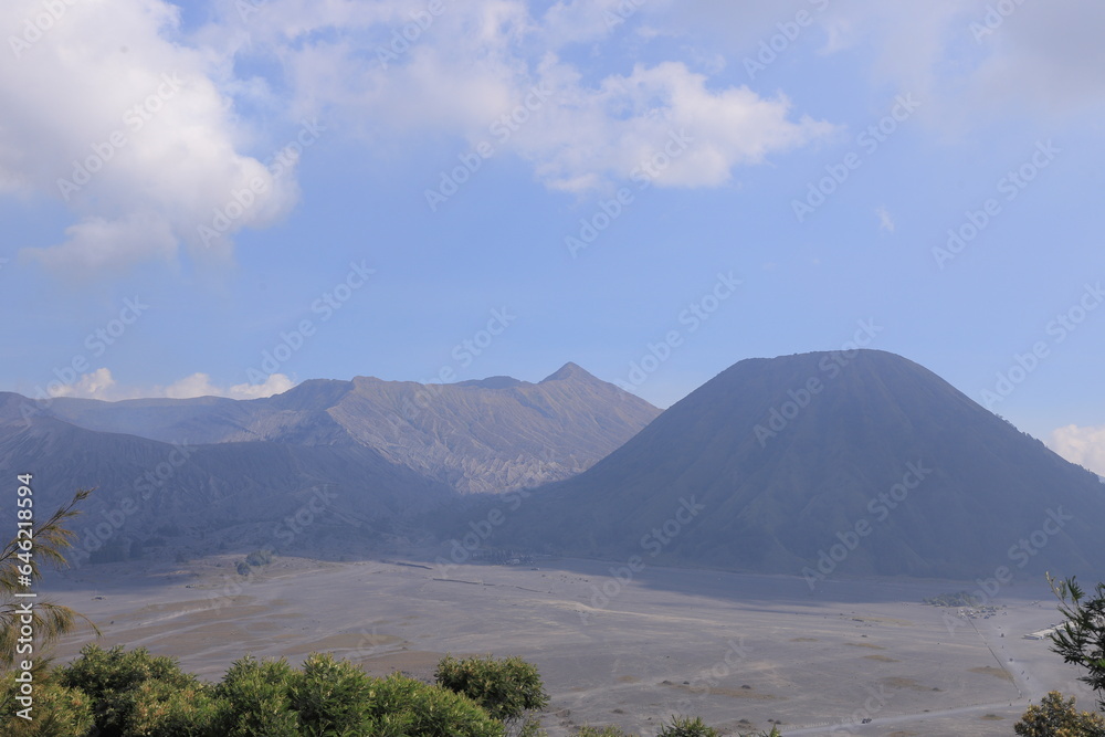 Beautiful flowers with a background of Mount Bromo