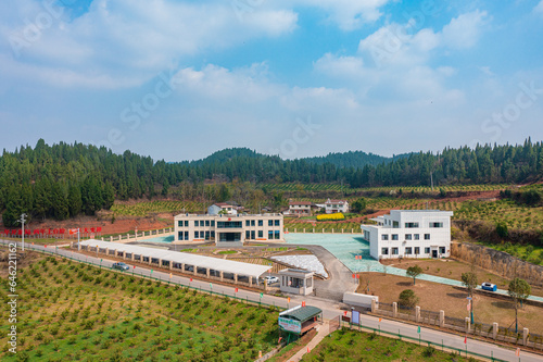 Rural revitalization photo