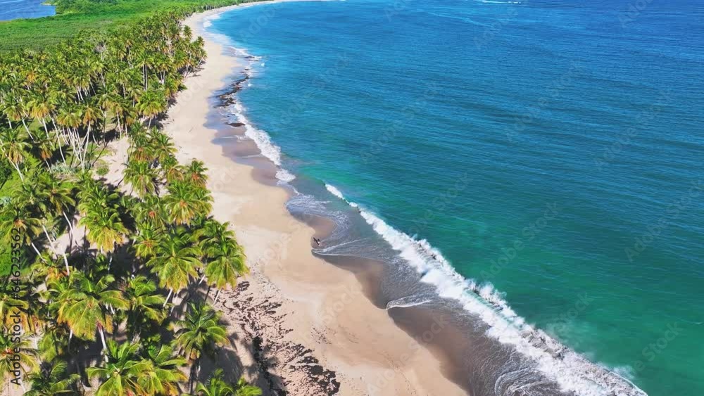Aerial view of green coconut trees on yellow sand and azure Caribbean Sea. Amazing wild beach of a paradise island in the Atlantic Ocean. Shadow of the palm on the sea sand. Palm Island Beach. Aerial view of green coconut trees on yellow sand and azure Caribbean Sea. Amazing wild beach of a paradise island in the Atlantic Ocean. Shadow of the palm on the sea sand. Palm Island Beach.