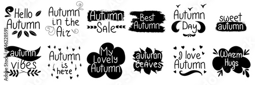 Hand drawn autumn short phrases isolated on white background. Autumn short phrases in black color. Vector illustraiton.