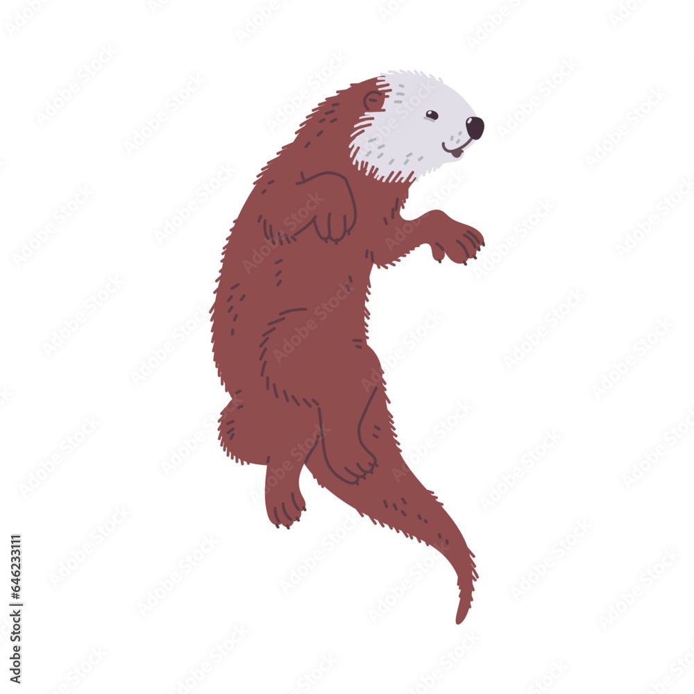 Cute and funny sea otter with brown coat, cartoon flat vector illustration isolated on white background. Cute and funny sea otter with brown coat, cartoon flat vector illustration isolated on white background.