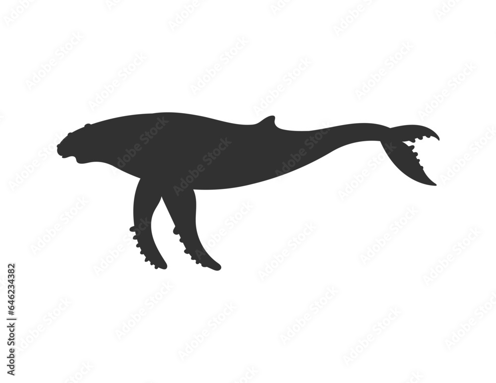 Humpback whale black silhouette of sea animal, vector illustration isolated.