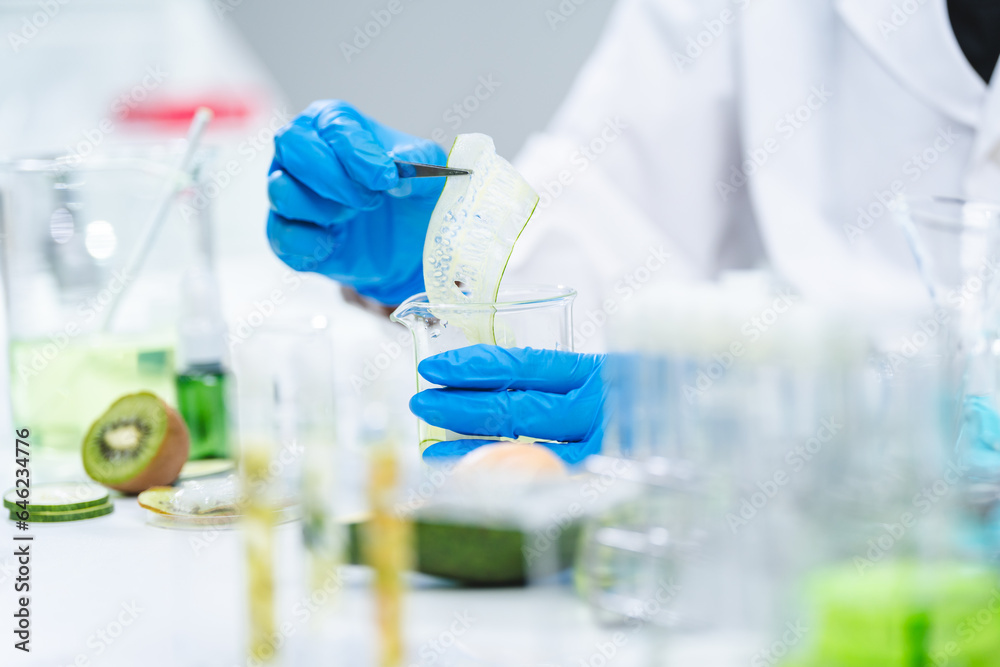 Fototapeta premium eco skin care beauty products in cosmetic laboratory development, Natural drug research with organic plant and scientific extraction in glassware, Alternative green herb medicine for body health care