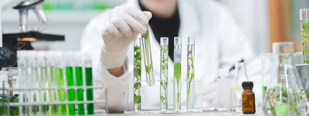 plant in medical pharmacy science research at chemical medicine laboratory  for pharmaceutical industry, chemistry development scientist using  equipment for health technology experiment or biology drug Stock Photo