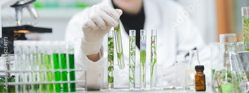 Foto plant in medical pharmacy science research at chemical medicine laboratory for p