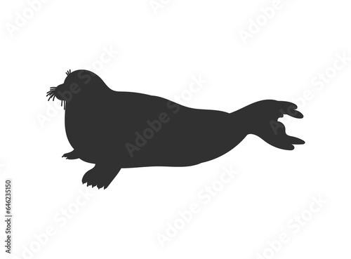 Seal or sea calf mammal animal stencil silhouette vector illustration isolated.