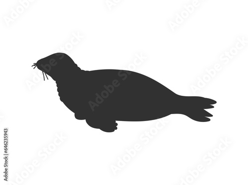 Vector black silhouette illustration of leopard seal, isolated on white background