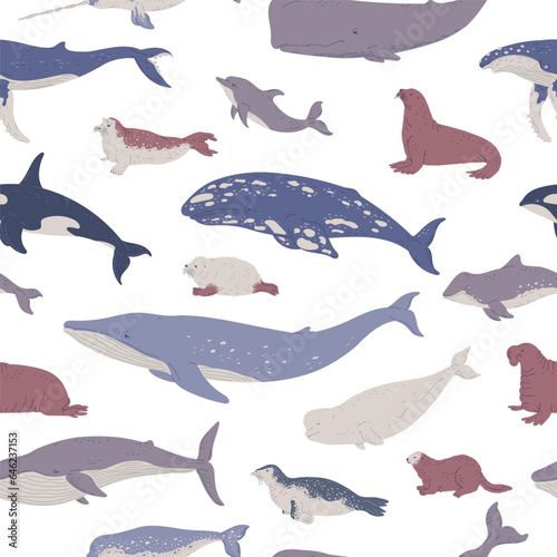 Marine mammals seamless pattern, flat vector illustration on white background.