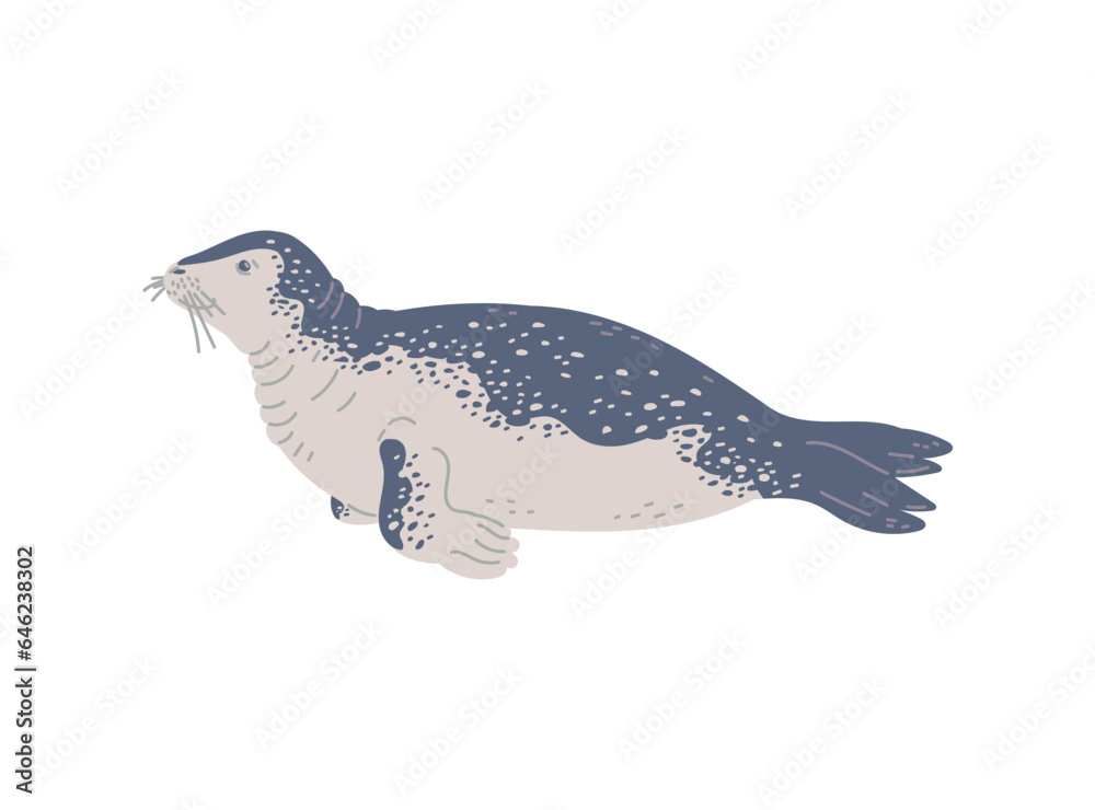 Vector illustration of leopard seal, in hand drawn style isolated on white background Vector illustration of leopard seal, in hand drawn style isolated on white background