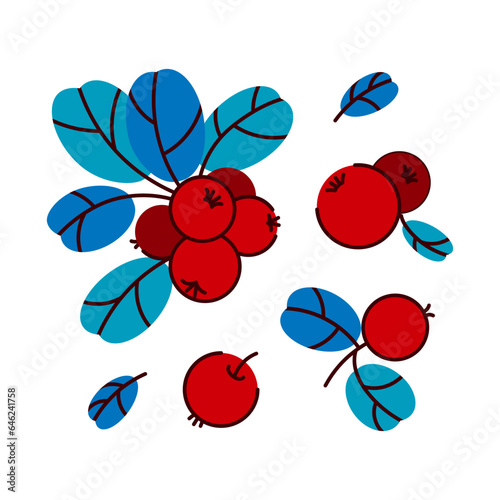 Vector set of lingonberries and cranberries. Collection of raw berries on a branch, a handful of berries on a white background. Autumn berry illustration. 