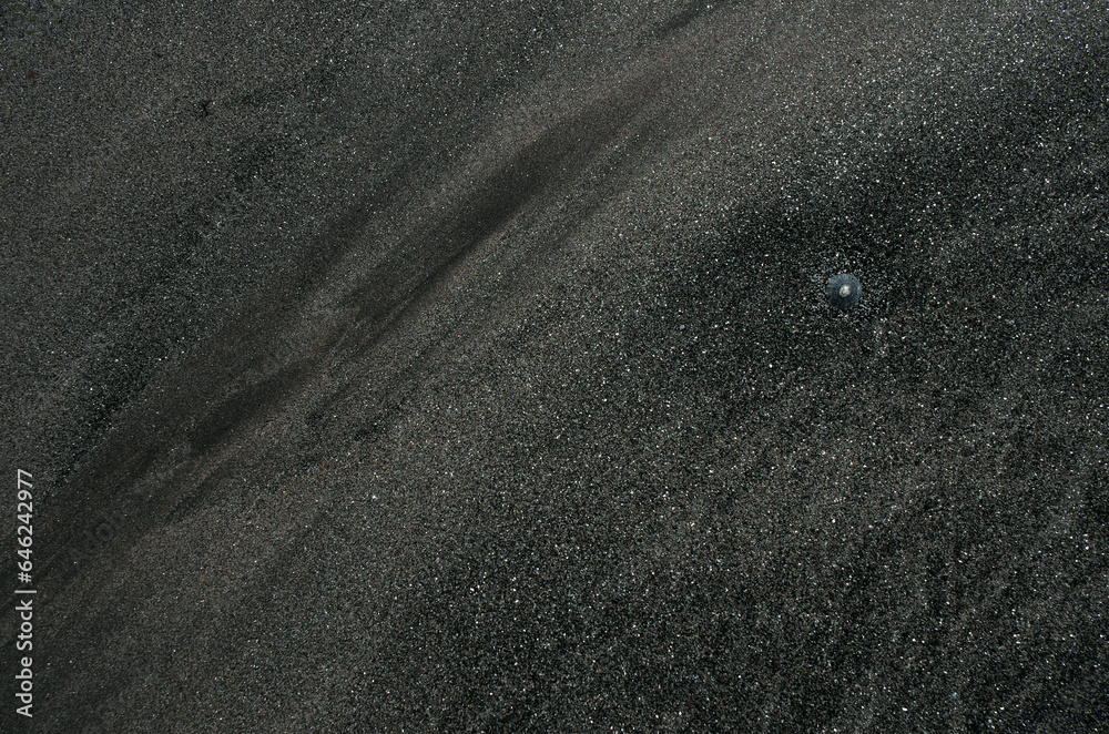 Obraz premium 砂の浜辺、そこにはまるで見知らぬ世界が広がっている。広大な草木の未だ育たない岩石や岩や砂礫だけの原初の地球、時には不毛の大平原のようでもあり、母なる水を蓄えた優しく美しい地球の表面のようでもある。またある時には、地球の奥底を覗いているような恐れ、おののき、うめき声すらも聞こえてくる。混沌とした世の中、地球温暖化という重大な危機を迎え、この母なる地球が、今、悲鳴を上げている。私たちは何をなすべきか。