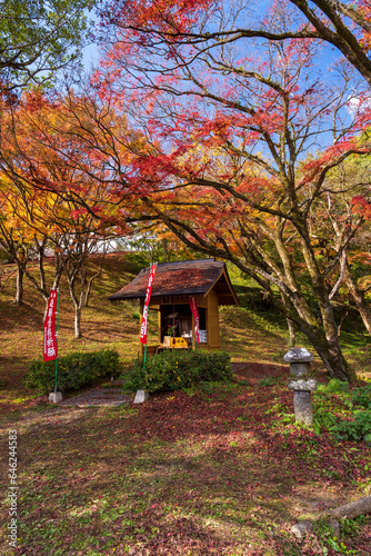 紅葉に色づく景色に包まれる風景
A landscape surrounded by autumn leaves
日本（秋）2022年撮影
Japan (Autumn) Photographed in 2022
九州・大分県豊後大野市
Bungo-Ono City, Oita Prefecture, Kyushu
用作公園（ゆうじゃくこうえん）
Yujaku Park photo