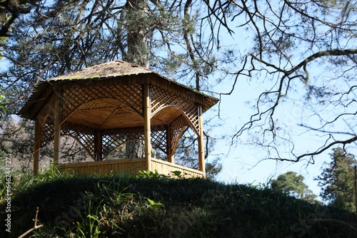 Picturesque view of wooden gazebo and green plants on sunny day © New Africa