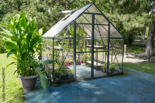 Greenhouse in the garden. Glass small compact greenhouse for growing flowers, vegetables, seedlings of various plants. Gardening.