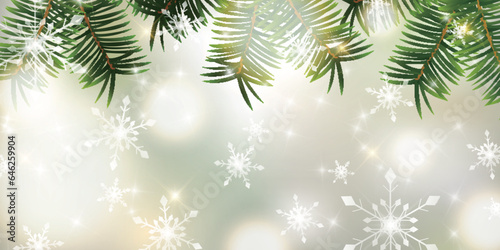 クリスマス　モミの木　雪　背景