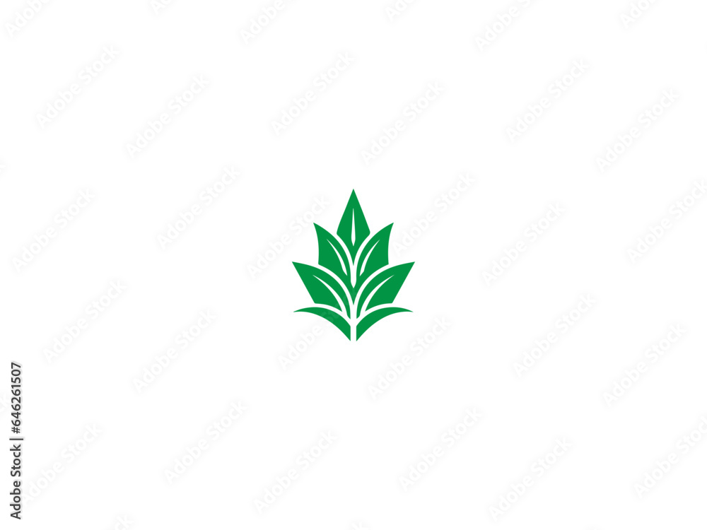 Corn plant logo vector, logo design, vector and illustration,