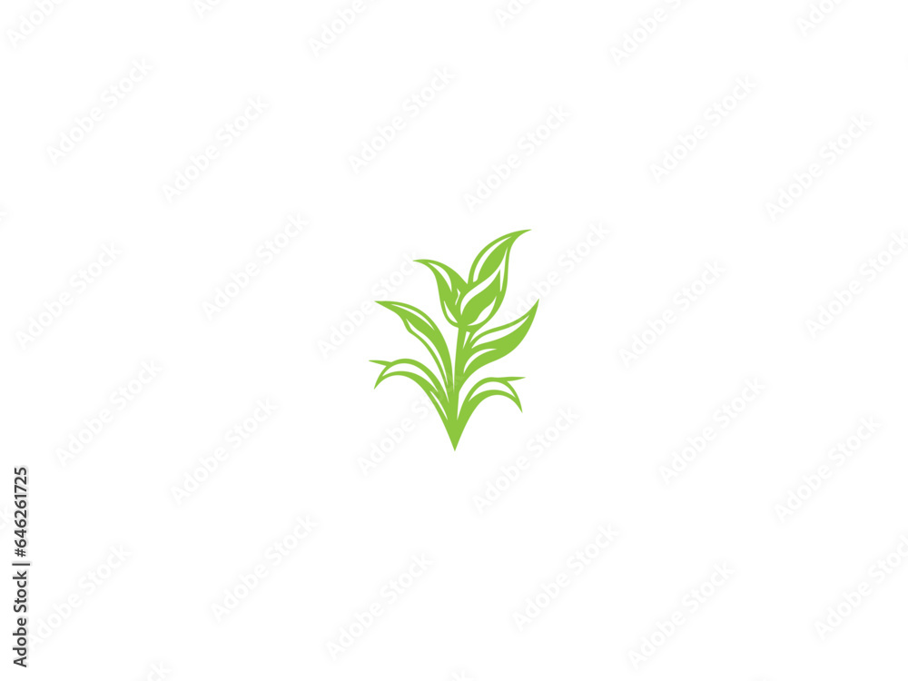 Corn plant logo vector, logo design, vector and illustration, Corn plant logo vector, logo design, vector and illustration,