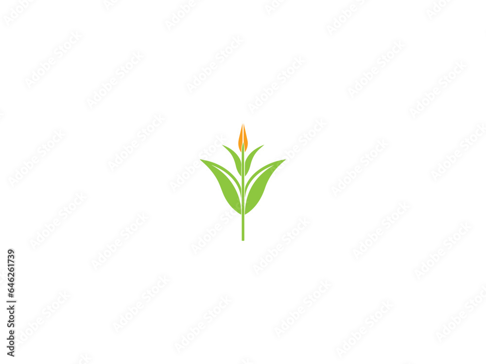 Corn plant logo vector, logo design, vector and illustration, Corn plant logo vector, logo design, vector and illustration,