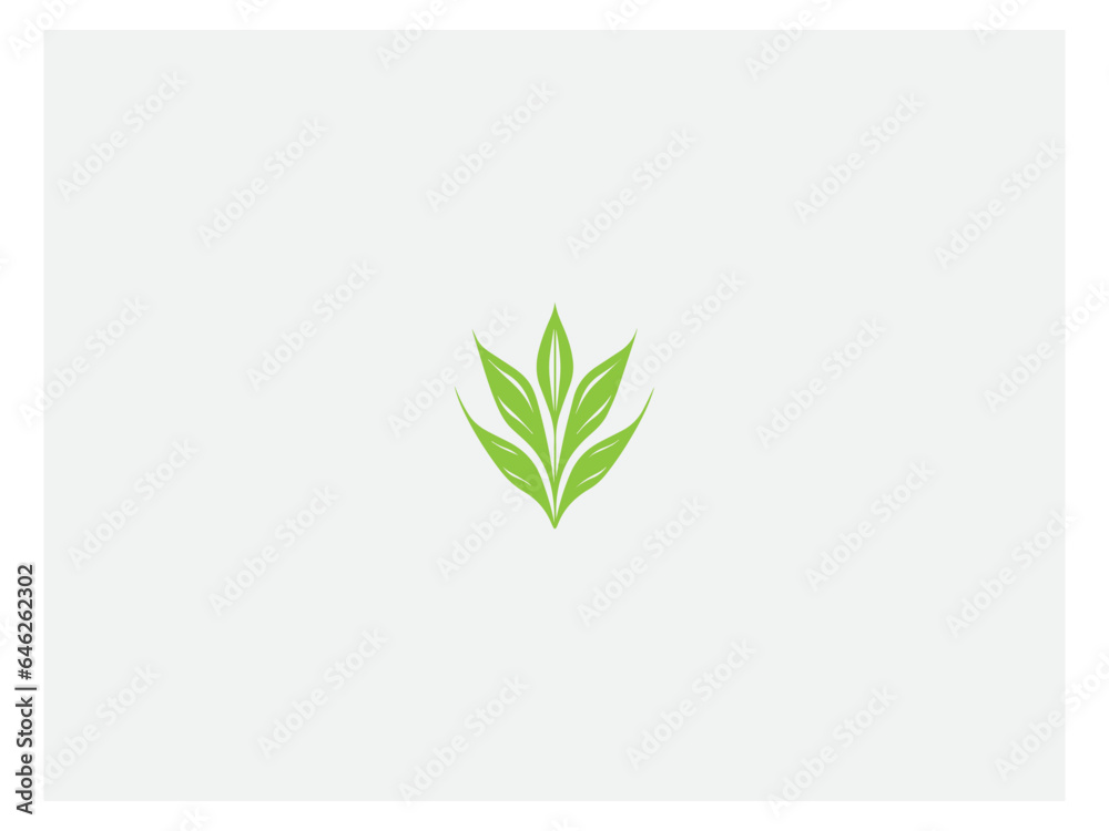 Obraz premium Corn plant logo vector, logo design, vector and illustration,