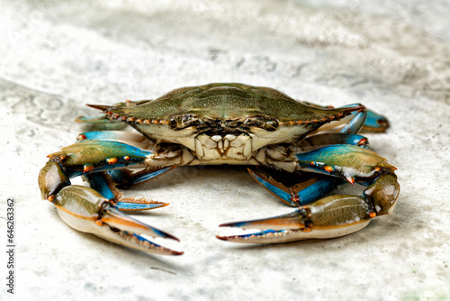 Freshly caught in Italian sea blue crab. An alien species that has colonized Italian, mediterranean seas.