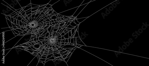 Doubled cobweb on black background