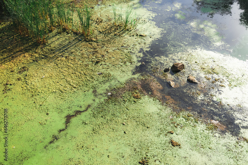 river stream became polluted swamp with bog and oil secondary processing of human activity, nature disaster ecological problems concept