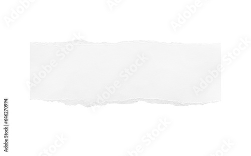 Torn paper edges. Ripped paper texture. Paper tag. White paper sheet for background with clipping path. Close up.