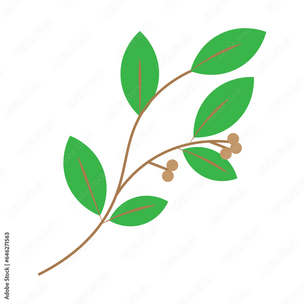Spices Flat Icon Spices Flat Icon